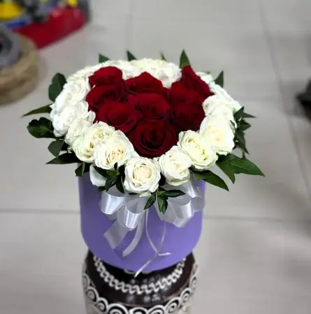 Сердце