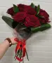 Искренний